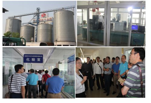 廣東養(yǎng)豬行業(yè)協(xié)會攜手會員單位探索東北民辦培訓(xùn)機(jī)構(gòu)合作新路徑